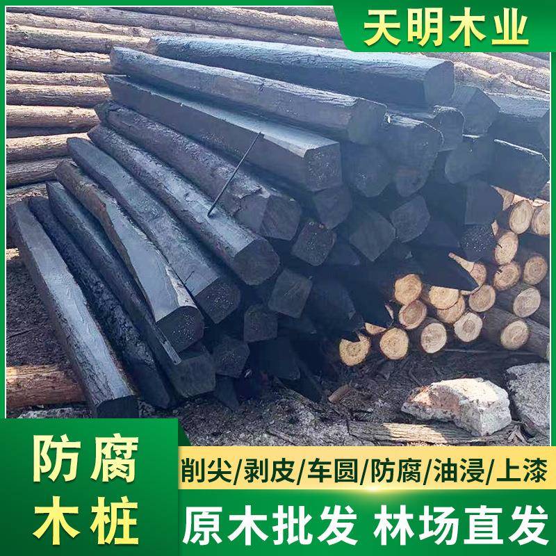 松木桩河道打桩原木桩园林绿化支撑杉木桩防汛松树木桩