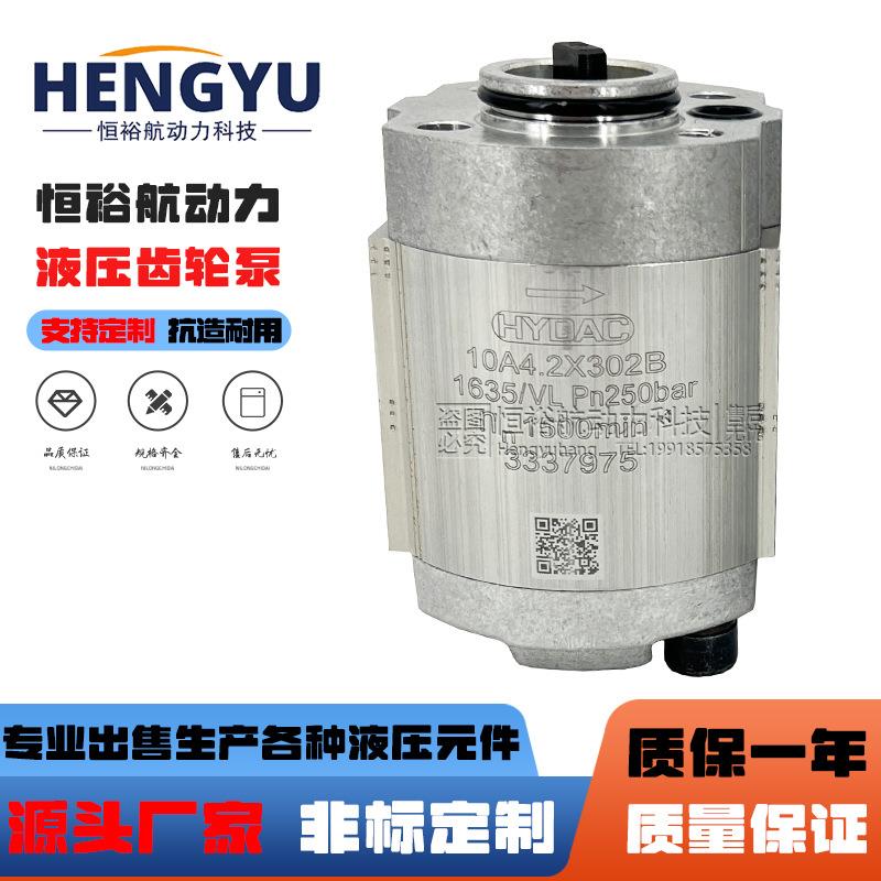 3337975贺德克HYDAC齿轮泵10A2.65X48810A2泵10A4.2X302B液压泵