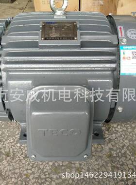 电机TEGH160M-415HP11W4PAEEFF3B3IP5550HZ