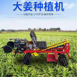 大姜播种植机 老生XXP姜播种机 姜种植机 姜种母机