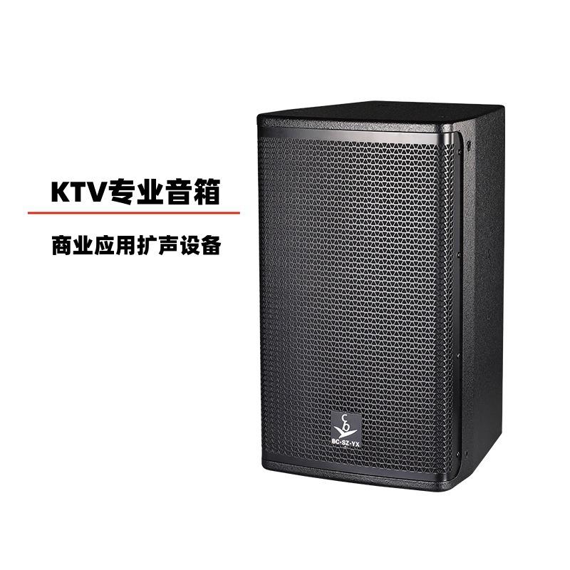 10寸12寸KTV专业音箱会议清吧包厢家用专业音响设备全频音箱