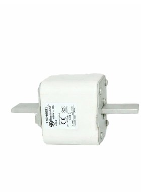 170M8549 170M8550 170M8551 170M8552 快速熔断器 保险丝全新