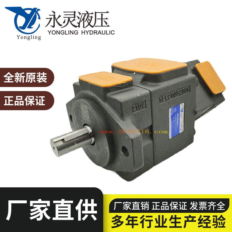 YLC永灵PV2R21-65/59/53/47/41/33/26/31/28/25/23/19/17/14/12F1