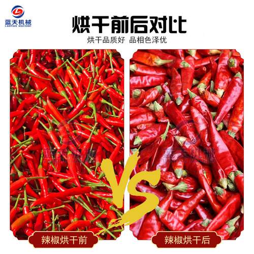 网带辣式辣椒烘干机商干LT-LJJ用大型 鲜红辣椒烘机 辣子朝天椒椒