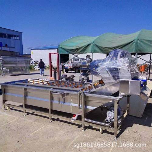 喷淋式果蔬气泡清洗机青梅大枣洗菜机蔬菜前处理清洗加工设备