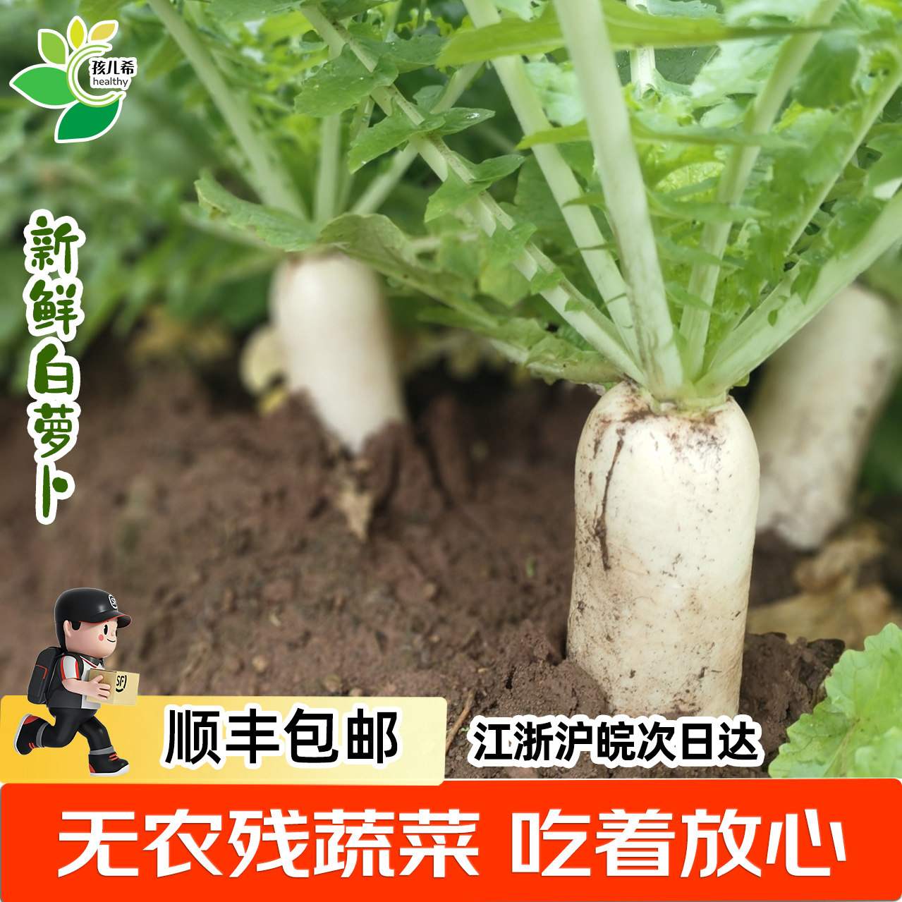 孩儿希 大白萝卜嫩鲜甜农家当季做泡菜腌菜露天新鲜蔬菜无农残,水产肉类/新鲜蔬果/熟食,萝卜/胡萝卜,淘宝优惠券,粉丝福利购,淘宝优惠卷
