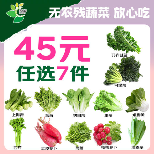 孩儿希 自选3.5斤新鲜蔬菜青菜健康沙拉榨汁轻食现采摘无农残顺丰