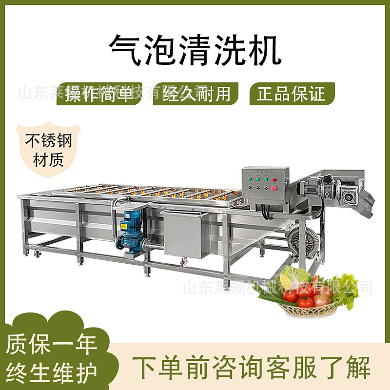 白菜加工清洗设备循环水式果蔬气泡清洗机自动香菜气泡清洗流水线