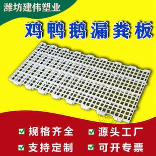 大孔鸡用漏粪板承重高 种鸡鸭鹅漏粪板 禽用养殖塑料网床