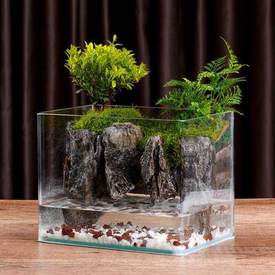 【折扣价】水陆缸造景全套苔藓微景观懒人办公桌真绿植成品微景观