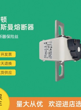 全新快速熔断器保险170M6664 170M6665 170M6666 170M6667