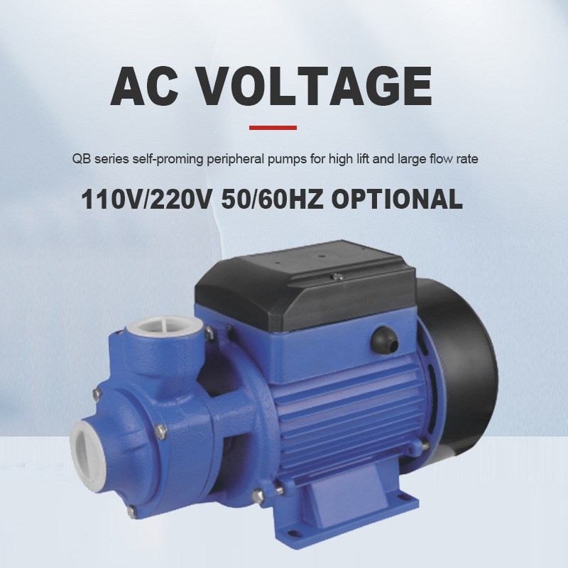 QB60QB70QB80漩涡泵220v110v50hz60hz家用高扬程大流量管道增压泵