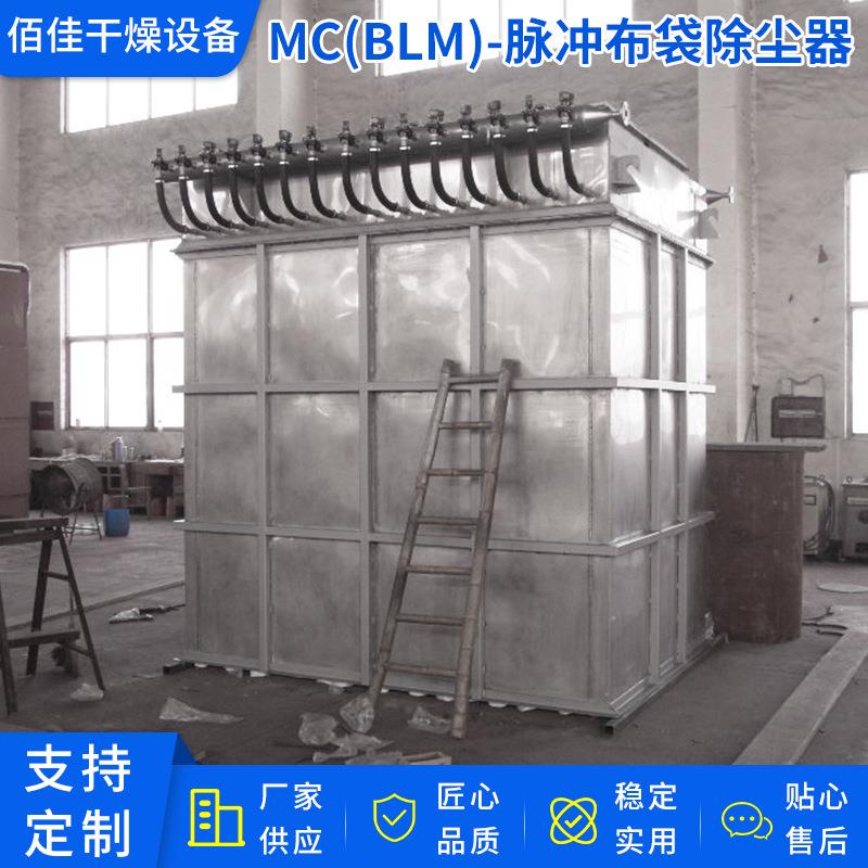 厂家供应BLM方形脉冲布袋除尘器筒式滤尘器不锈钢滤尘器