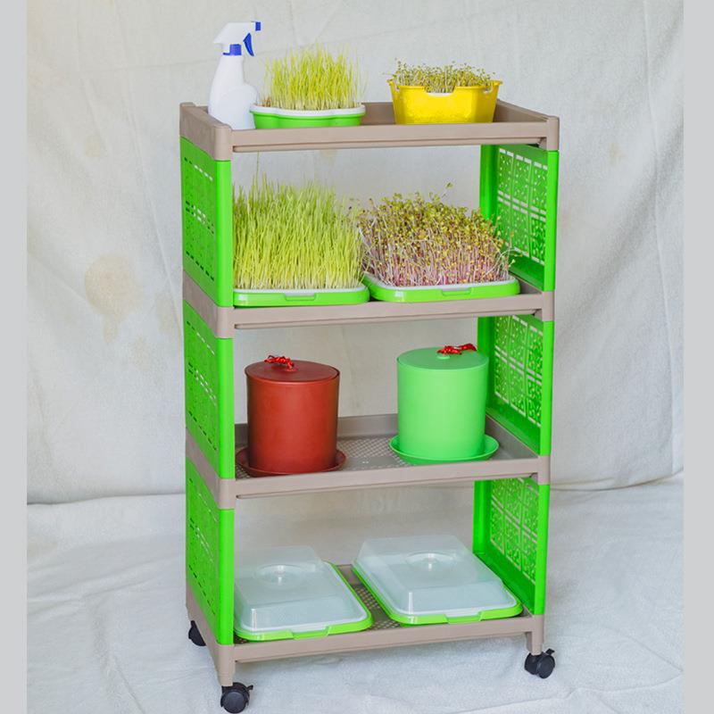 【折扣价】简约塑料种植箱芽苗菜育苗箱架注塑上种菜无土栽培蔬菜