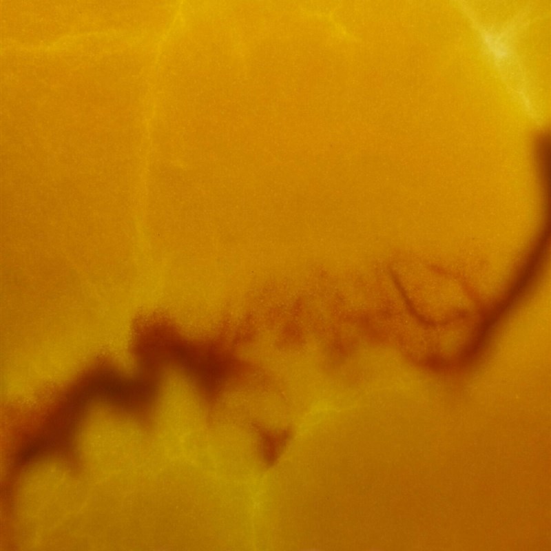 金诺透光石透光板云石板亚克力灯柱灯箱片吊顶背景墙云石片免切割