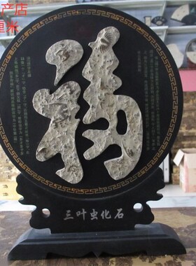 燕子石虫化石古生物中式摆件收藏奇石家居客厅