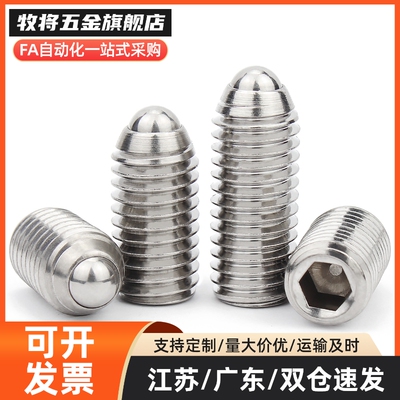 不锈钢球头柱塞 BSZF BSX 3 4 5 6 8 10 12 16