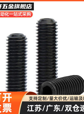 LVW/LVFW12/16/20/24/30-10/15/20/25/30/35/40碳钢调整螺丝螺栓