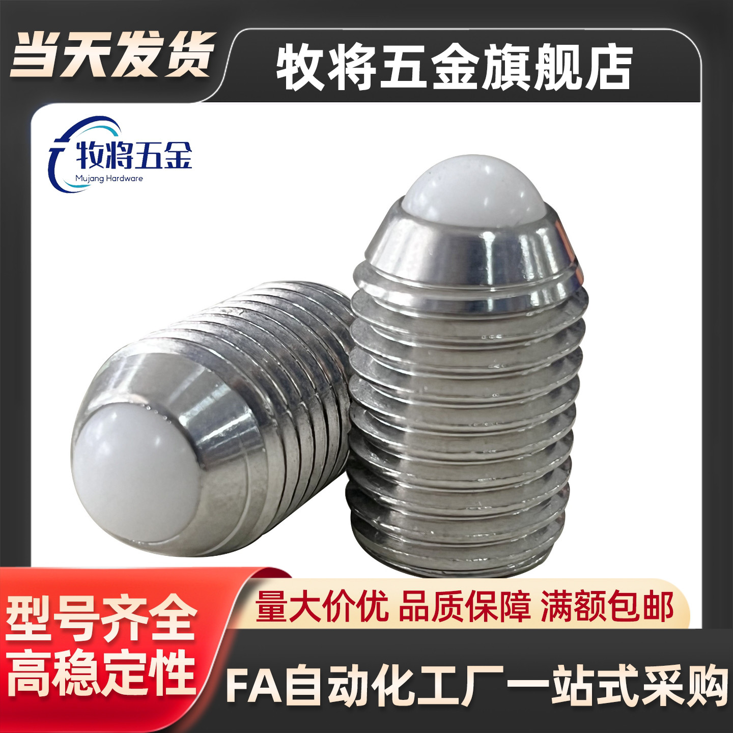 C-BMS/C-BSM/C-BSX/C-NBSM/C-NBSX3/4/5/6/8/10-20P/10P球头柱塞