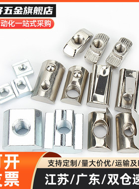 HNTT5铝型材HNTTV40/HNTTZ45螺母TNTB-HNTR20/HNTC30/M4 M5 M6 M8