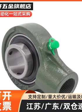 E-BDB09-201/202/203/204/205/206/207/208/209/210 铸造带座轴承