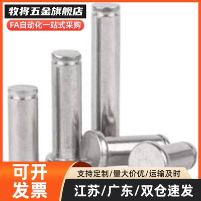 替代SHCCG8/10/6/5/4/12-10/15/20/25铰链销带肩扣环型