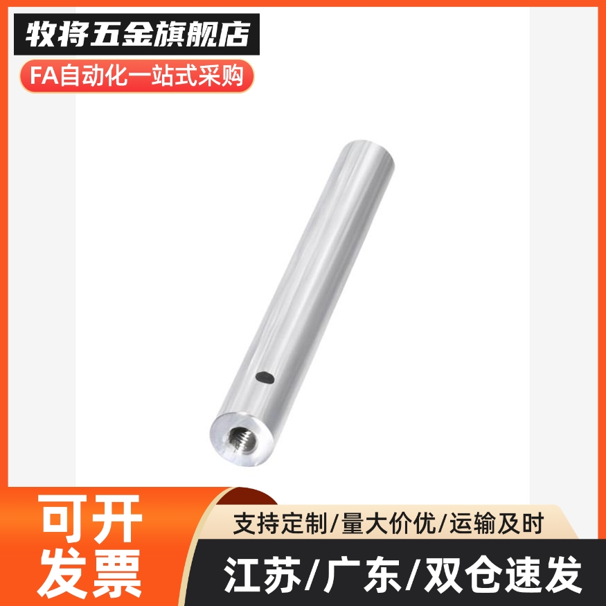 导向轴 带扳手槽/带通孔型 g6 SCE01/2/6/7-D10-L100-M4-S20