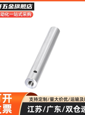导向轴 带扳手槽/带通孔型 g6 SCE01/2/6/7-D10-L100-M4-S20