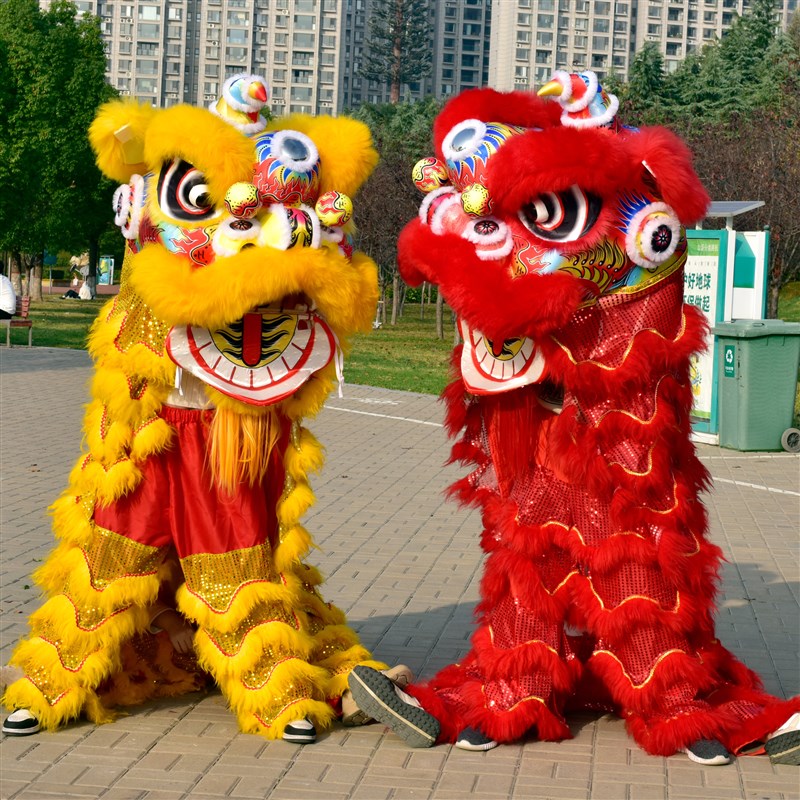 舞狮狮子头三号醒狮全套服装道具演出服南狮头套单人双人羊毛舞狮