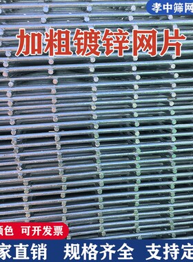 铁丝网围镀锌丝网建CZH筑网网片加厚加栏粗网格钢小孔狗笼子斜方