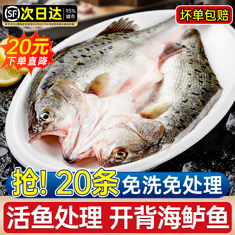 海鲈鱼新货鲜冻烤鱼半成品清蒸预图片