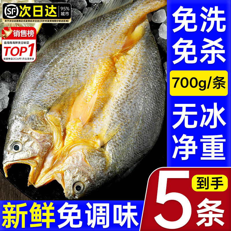 黄鱼鲞新鲜冷冻大黄鱼黄花鱼三去生鲜宁德小黄鱼海鲜鱼类海鱼商用