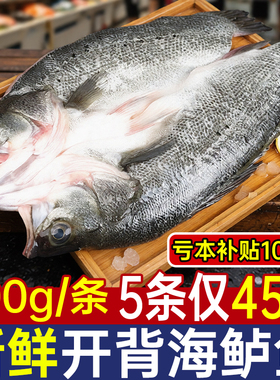 鲈鱼开背新鲜冷冻鲜活深400g/条海鲈鱼卢鱼水产烤鱼半成品商用