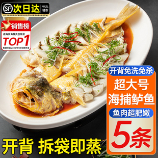清蒸海鲈鱼深海野生特大新鲜活三去开背白蕉七星海鲈鱼预制菜商用