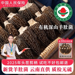 云南羊肚菌干货正品特级非野生一级新鲜菌菇煲汤食材干货汤料包