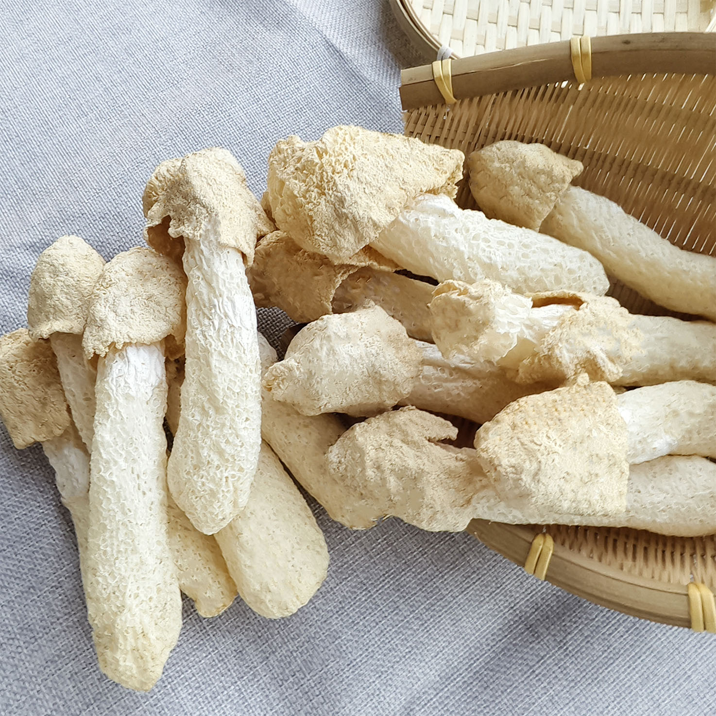 赵露思同款短裙带帽竹荪