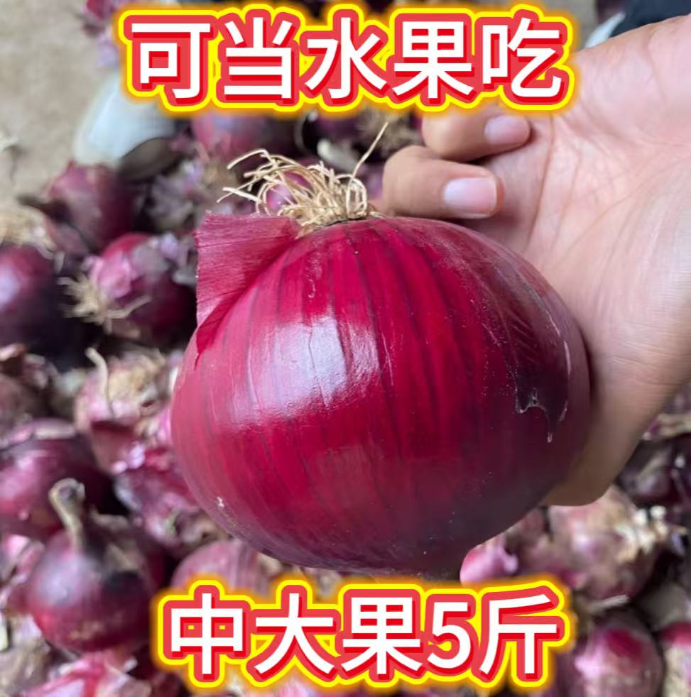 山东现挖新鲜紫皮水果洋葱