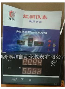 虹润HR-WP-XD821-022-19/19-2P-A双回路数显表成都虹润温控仪