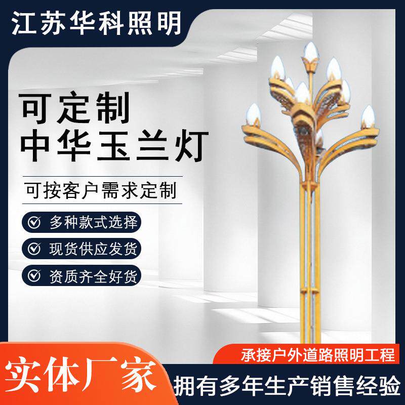 供应LED玉兰灯中华灯户外6米8米市政道路照明路灯常规多灯头景观