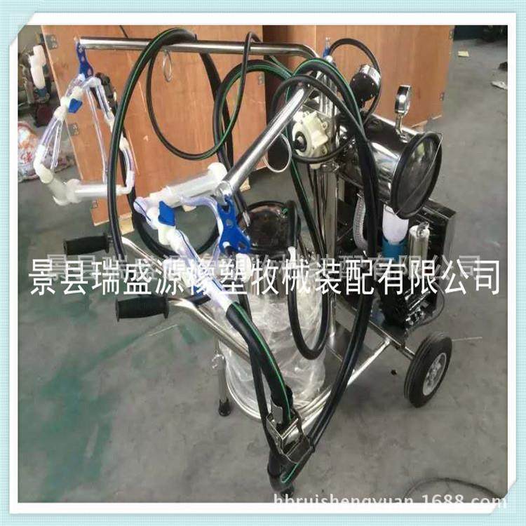 双桶真空 移动式手推车小型挤奶机 奶牛挤奶机 河北瑞盛源厂家