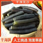 山东大号海笋干货海松茸日晒海茸丝海松茸海龙筋南极冰笋凉拌火锅