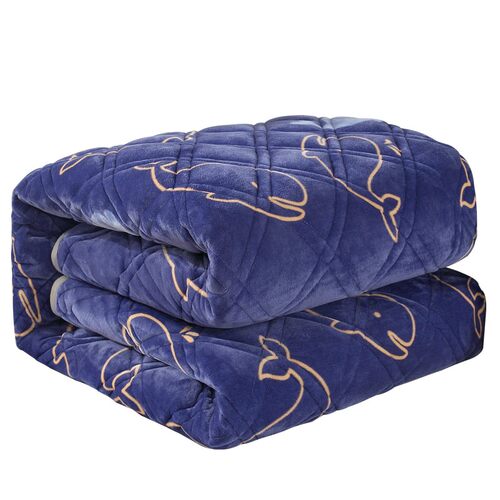 冬季家品法毯绒毛毯床单加厚莱双人床单法单绒兰子