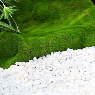 仿真植物大型盆栽绿植室内外景观橱窗造景装 饰隔断旅人蕉摆件