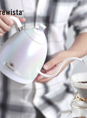 Bwsa四温控手冲咖啡壶家用双层保温壶泡茶壶器具