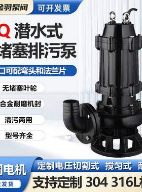 250WQ500-9-22移动式无堵塞潜水排污泵QW250-500-9-22循环泵