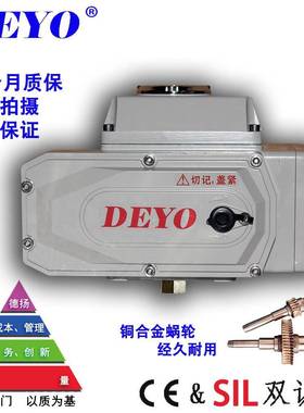 SDV-10/15电动执行器开关调节型电动头断电复位AC24/220VDC24V