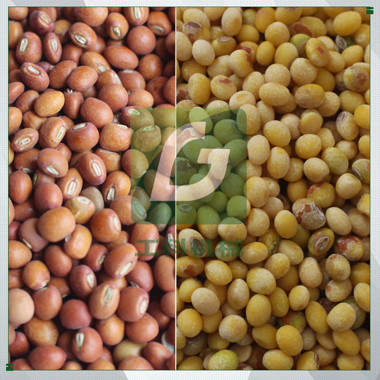 苦参种子脱皮机，苦参脱皮机