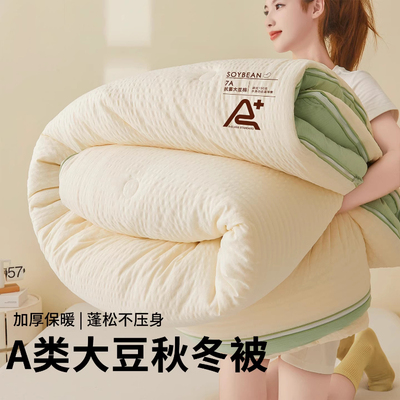 a类大豆抗菌纤维被子被芯春秋被加厚保暖冬被子母被二合一拉链款A