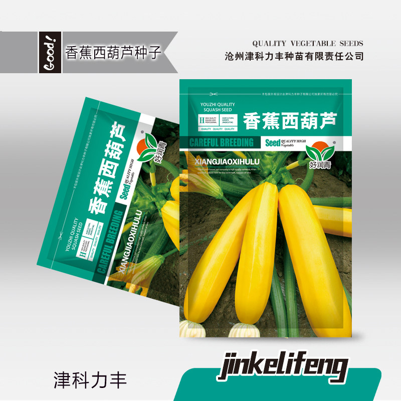 香蕉西葫芦籽黄色西葫芦瓜种籽种苗农家番瓜生瓜茭瓜蔬菜种孑高产