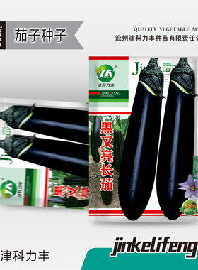 黑又亮长茄茄子种子高产原装黑紫色特长超长特大耐寒耐热蔬菜种子